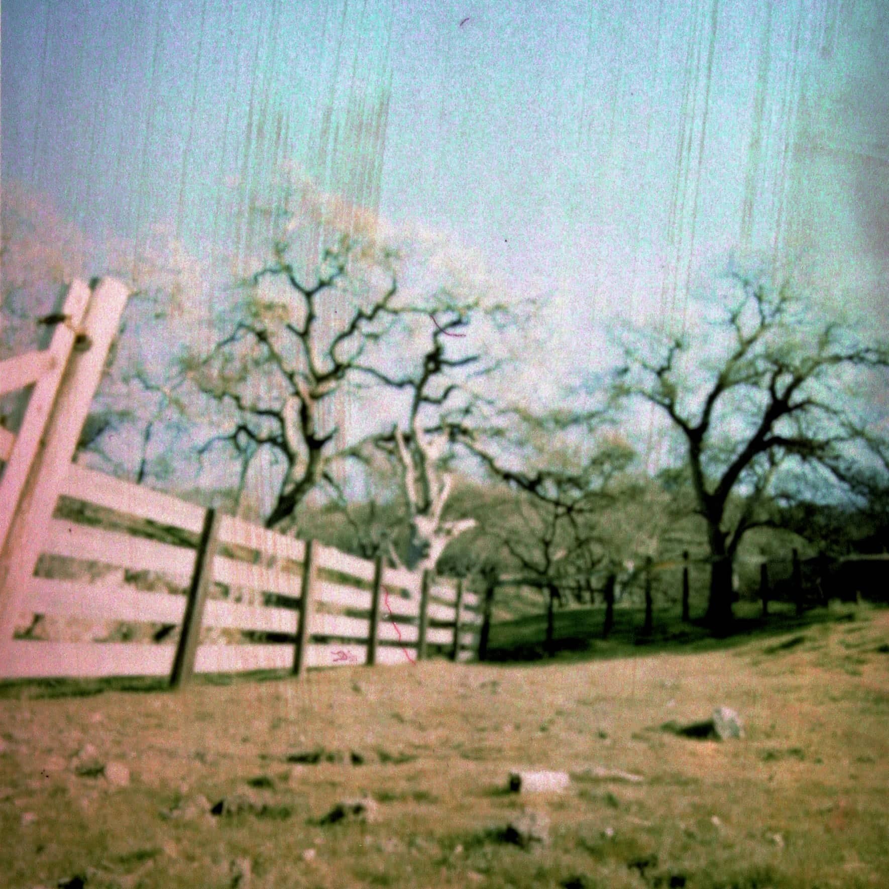 Falling in Love with Gravity album cover